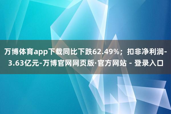 万博体育app下载同比下跌62.49%；扣非净利润-3.63亿元-万博官网网页版·官方网站 - 登录入口