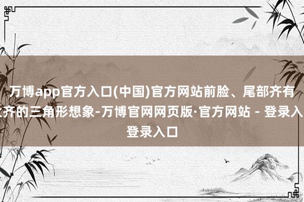 万博app官方入口(中国)官方网站前脸、尾部齐有大齐的三角形想象-万博官网网页版·官方网站 - 登录入口