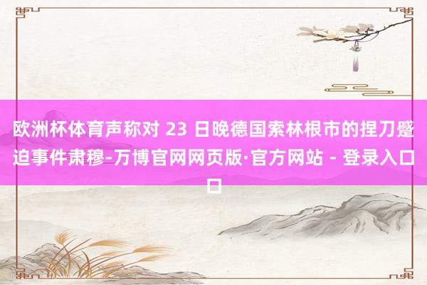 欧洲杯体育声称对 23 日晚德国索林根市的捏刀蹙迫事件肃穆-万博官网网页版·官方网站 - 登录入口