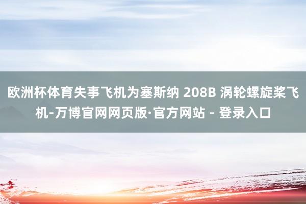 欧洲杯体育失事飞机为塞斯纳 208B 涡轮螺旋桨飞机-万博官网网页版·官方网站 - 登录入口